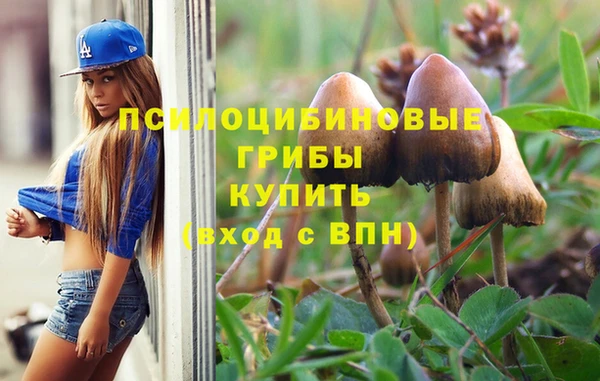 бошки Семилуки