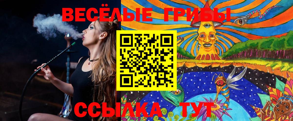 Псилоцибиновые грибы GOLDEN TEACHER Спасск-Дальний