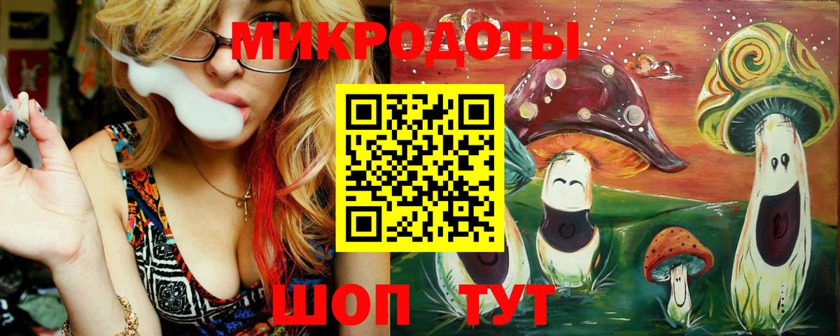 Псилоцибиновые грибы Psilocybe Спасск-Дальний