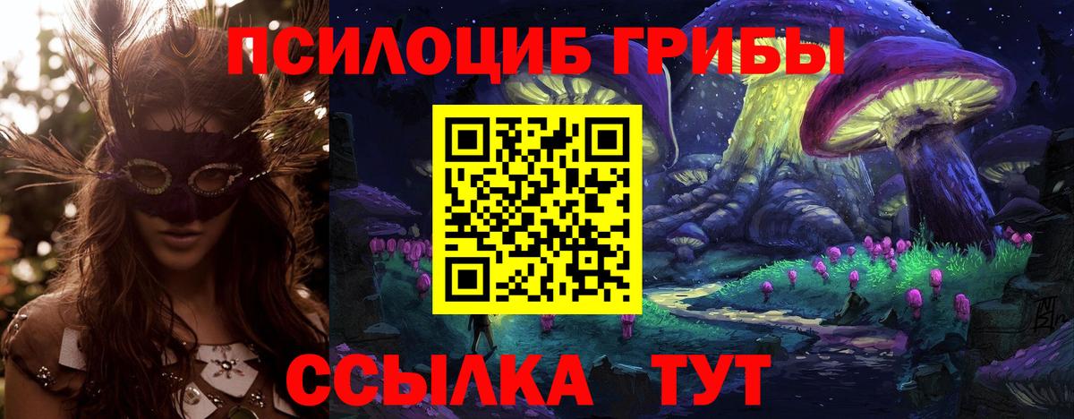 Спасск-Дальний  Галлюциногенные грибы ЛСД  Вход с VPN  Псилоцибиновые грибы GOLDEN TEACHER 